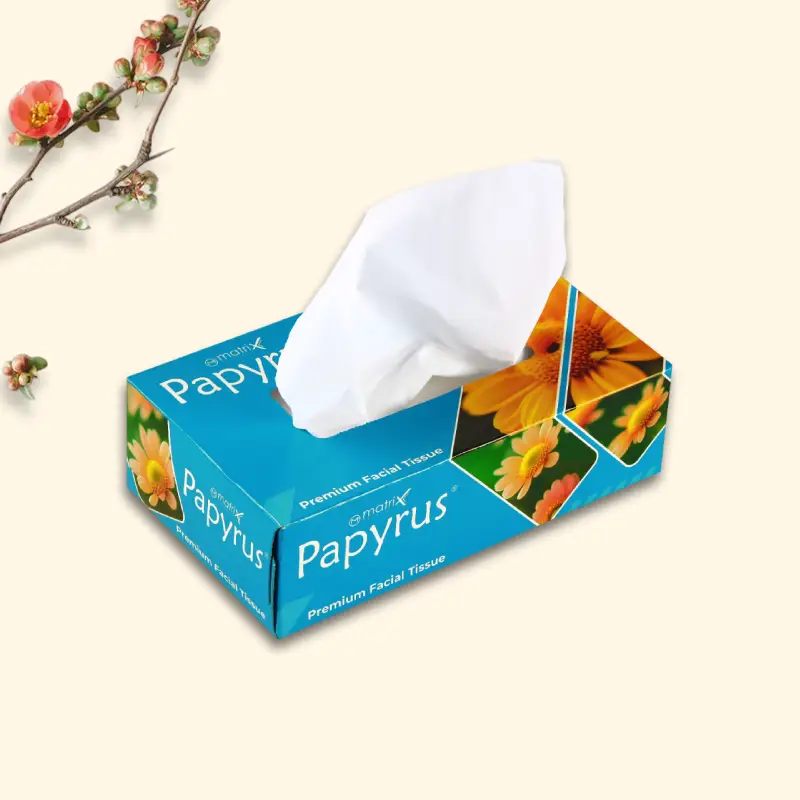 Facial Tissue Papyrus 70 Pull